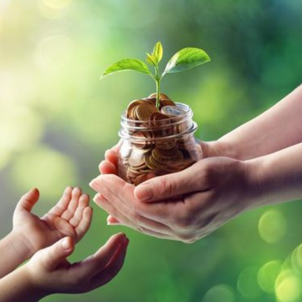 Financial Advisor India Succession Planning